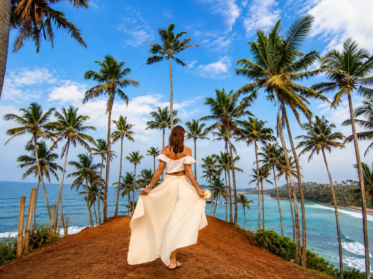 Coconut Tree Hill